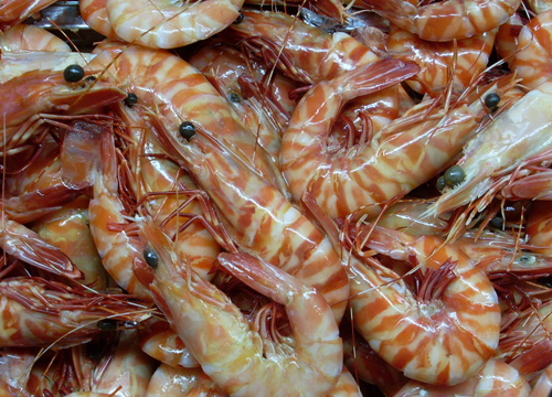 Raw-Tiger-Prawns.jpg